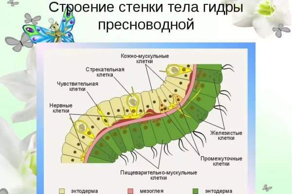 Как зайти в кракен