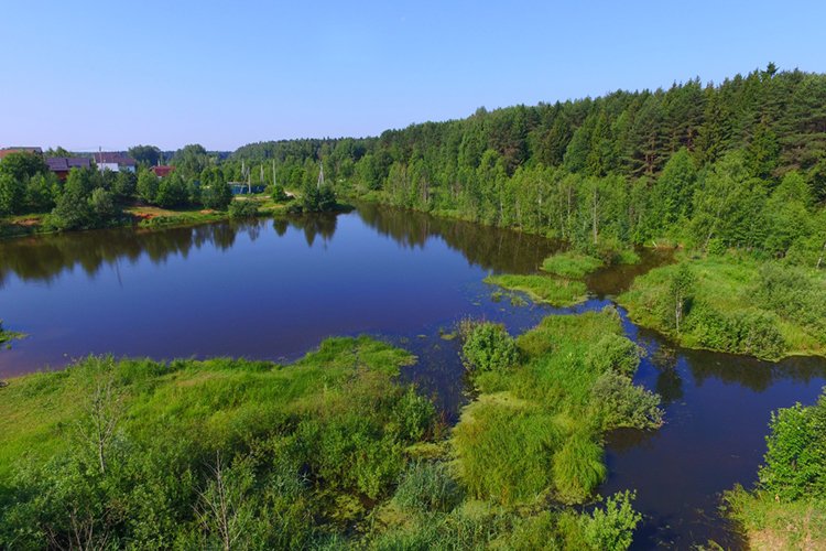 Что с кракеном сайт